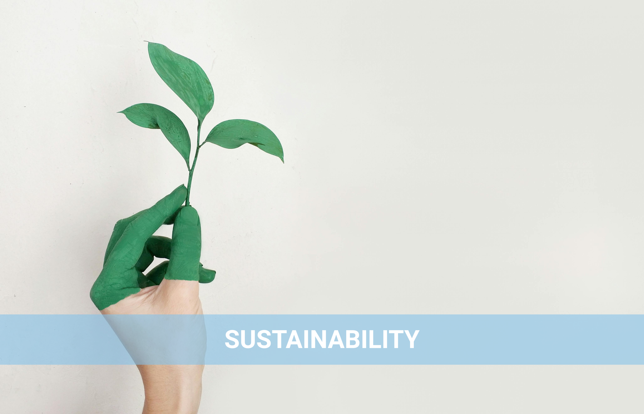 Sustainability (3)